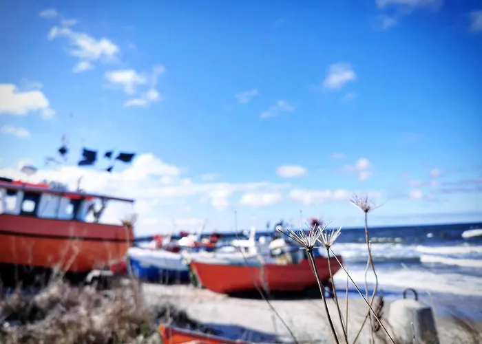 Czarne Dom wakacyjny *